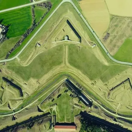 Palmamore * Palmanova